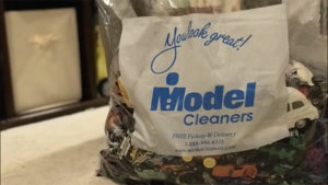Model Cleaners Tips